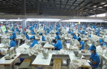 ILO: Việt Nam ở vị thế tốt hơn phần lớn các nước để vượt qua những thách thức kinh tế, thị trường lao động