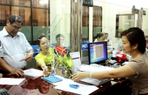 BHXH TP. Đà Nẵng: Tập huấn nghiệp vụ công tác quản lý thu BHXH, BHYT, BHTN