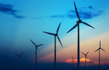 Copenhagen Infrastructure Partners phát triển dự án điện gió 'siêu khủng' trị giá hơn 10 tỷ USD ở Bình Thuận