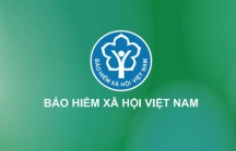 Chính phủ quy định chức năng, nhiệm vụ, quyền hạn và cơ cấu tổ chức của BHXH Việt Nam