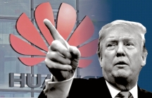 Huawei thấm đòn, số phận rơi vào tay ông Trump