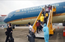 CEO Vietnam Airlines: Ngành hàng không sẽ phải được giải cứu