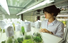 Đà Nẵng đầu tư hơn 651 tỷ đồng nâng cấp, mở rộng Trung tâm Công nghệ sinh học