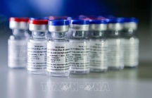 Nga: Giá xuất khẩu 2 liều vaccine Sputnik V ít nhất là 10 USD