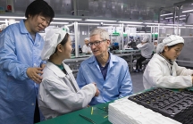 Apple tạm dừng kế hoạch sản xuất tại Việt Nam vì nhà máy chưa đáp ứng đủ yêu cầu cần thiết