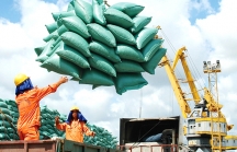 Tổng giám đốc Công ty Trung An: Xuất khẩu gạo của Việt Nam chỉ mang tính chất 'cầu may'