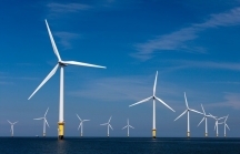 Doanh nghiệp Đức muốn 'rót' 1,5 tỷ USD làm dự án điện gió ngoài khơi ở Bình Định