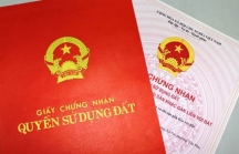 Giám đốc một doanh nghiệp tại Đà Nẵng bị điều tra về hành vi cưỡng đoạt tài sản