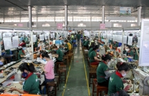 Dịch COVID-19 khiến hàng nghìn doanh nghiệp ở Đà Nẵng lao đao