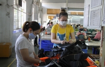 Đề xuất gỡ khó cho doanh nghiệp Đà Nẵng bị ảnh hưởng bởi dịch COVID-19