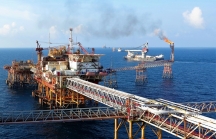 'Khoảng lặng' trong các hoạt động khai thác dầu khí giữa môi trường giá giảm