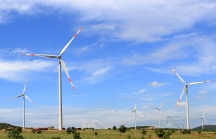 Tạm dừng bổ sung quy hoạch các dự án điện gió