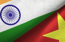Việt Nam và Ấn Độ đẩy mạnh hợp tác trong lĩnh vực CNTT và Smart City