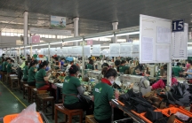 Đà Nẵng có hơn 35.000 vị trí việc làm cần người lao động