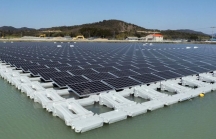 Chủ 2 dự án điện gió 9.000 tỷ ở Gia Lai qua Đắk Lắk xin làm điện mặt trời