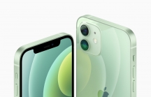 Apple trình làng iPhone 5G thế hệ đầu tiên và iPhone 12 mini