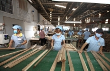 Việt Nam đứng thứ 5 trên thế giới về xuất khẩu gỗ