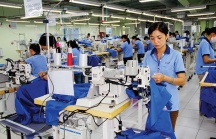 Nhật Bản chi tiền tỉ đô la nhập những mặt hàng nào của Việt Nam?
