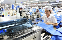 Vì sao Trung Quốc nhường chỗ trong chuỗi cung ứng sản xuất, Ấn Độ đánh rơi cơ hội vào tay Việt Nam và Bangladesh?