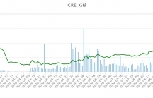 Cen Land (CRE): KQKD Q3, duy trì tăng trưởng trong đại dịch Covid-19