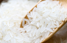 Campuchia muốn cạnh tranh với Việt Nam về xuất khẩu gạo trắng