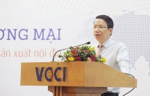 Cục trưởng Lê Triệu Dũng: Việt Nam đang là nước đứng thứ 14 trên thế giới về số vụ phòng vệ thương mại