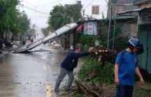 Quảng Ngãi thiệt hại 3.200 tỷ đồng do bão số 9 gây ra