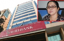 'Đại gia' Dương Thị Bạch Diệp không nhận tội vụ hoán đổi 'đất vàng', khai bị Agribank lừa