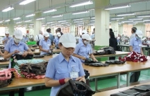 Tây Ninh vốn FDI tăng, doanh nghiệp nhiều nhưng vẫn loay hay tìm hướng đột phá