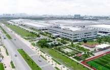 Khu công nghiệp Việt Nam là điểm sáng đầu tư của khu vực