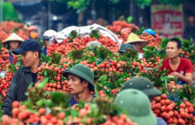 5 nhóm ngành, mặt hàng giúp Việt Nam hưởng lợi nhiều nhất từ RCEP