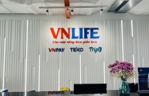 GIC và SoftBank đã rót bao nhiêu tiền để đưa VNLIFE / VNPAY thành startup được định giá vào loại cao nhất Việt Nam?