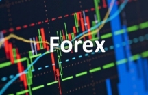 'Đầu tư, kêu gọi đầu tư Forex có thể bị phạt 5 năm tù và 5 tỷ'