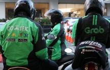 Grab, Gojek tiến gần tới thương vụ sáp nhập lớn nhất Đông Nam Á