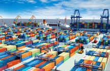 Xuất khẩu hàng hóa tại TP.HCM vẫn tăng trưởng dương sau 11 tháng đạt hơn 40 tỷ USD