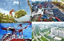 Ngân hàng Thế giới: Khảo sát 500 doanh nghiệp Việt Nam thấy 'sức cầu giảm, cạnh tranh tăng'