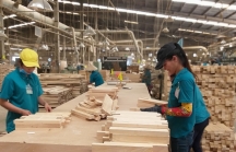 Phòng vệ thương mại ngành gỗ: Doanh nghiệp Việt bắt buộc phải tham gia cuộc chơi