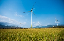 Đề xuất giảm giá FIT điện gió: DN kiến nghị kéo dài giá hiện tại