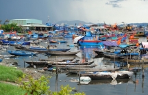 Đà Nẵng kiểm điểm cán bộ ban quản lý âu thuyền và cảng cá Thọ Quang
