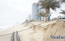 'Đà Nẵng cần xây kè ngầm và nuôi bãi để bảo vệ đường bờ chống sạt lở ven biển'