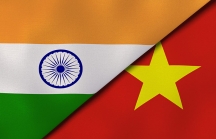 Ưu đãi thuế quan theo các FTA, cơ hội cho thương mại và đầu tư Ấn Độ tại Việt Nam đối với ngành dược