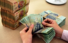 Ở Việt Nam kiếm 300 tỷ bên Mỹ, ngành thuế đủ cách truy vết thu tiền