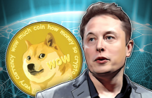 Chán Bitcoin, các nhà đầu tư đang theo Elon Musk mua Dogecoin
