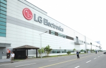 Korea Times: Thỏa thuận giữa Vingroup và LG sụp đổ