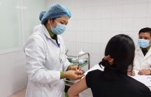 Ai sẽ được ưu tiên tiêm vaccine COVID-19 ở Việt Nam?