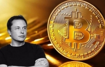 'Hiệu ứng Elon Musk' phơi bày rủi ro của Bitcoin