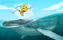 Tín hiệu 'cá mập' vừa xả Bitcoin, thị trường tiền điện tử sắp dậy sóng?