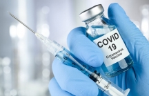 Cảnh báo giả mạo trong cung ứng, mua bán vaccine phòng COVID-19