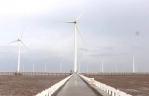 Tiền Giang 'bật đèn xanh' cho dự án điện gió ngàn tỉ của TTC Group