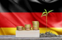 Chính sách 'Tài chính xanh' vì sự phát triển bền vững: Bài 3 - Đức muốn trở thành đầu tàu trên thế giới